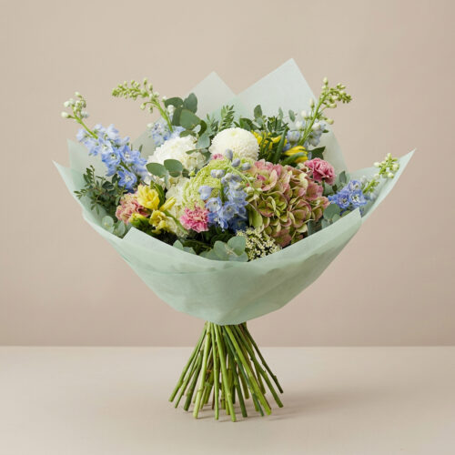 Ramo Premium Excellence